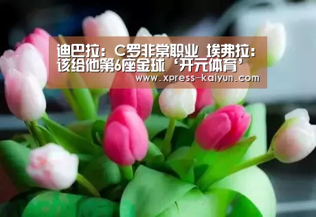 迪巴拉:C罗非常职业 埃弗拉:该给他第6座金球‘开元体育’(图2) 开云体育网站