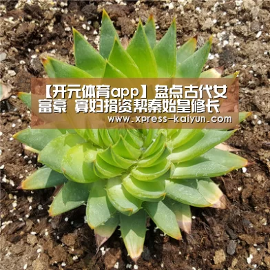 【开元体育app】盘点古代女富豪 寡妇捐资帮秦始皇修长城(图4) 开云体育网站