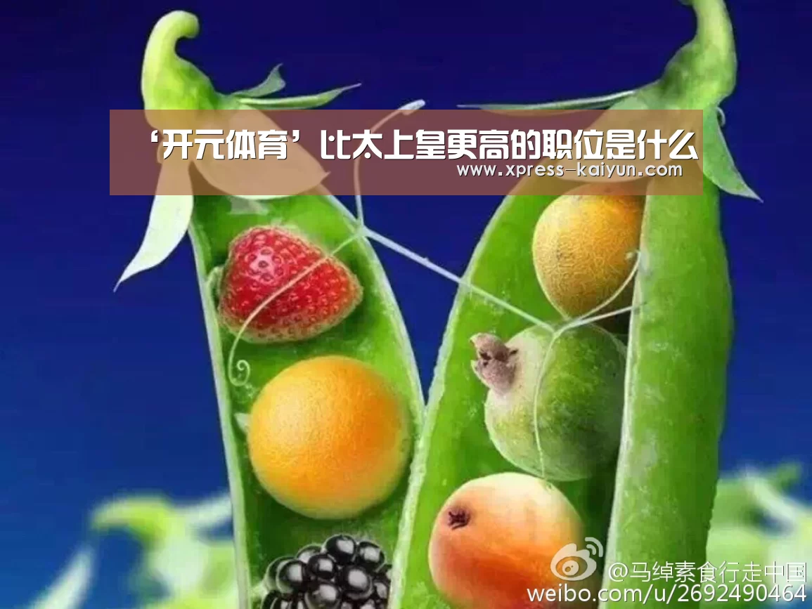 开云体育网站