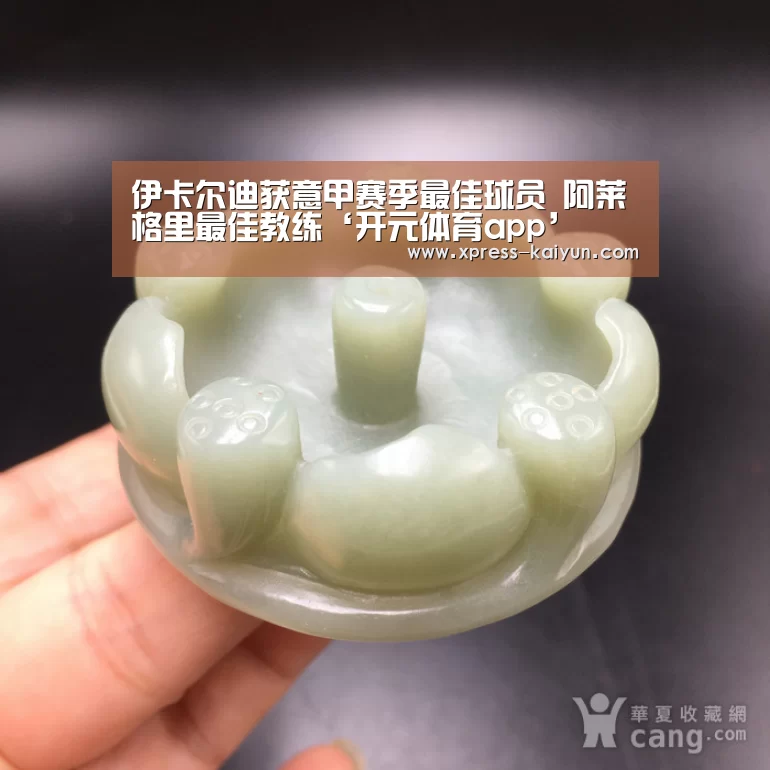 开云平台