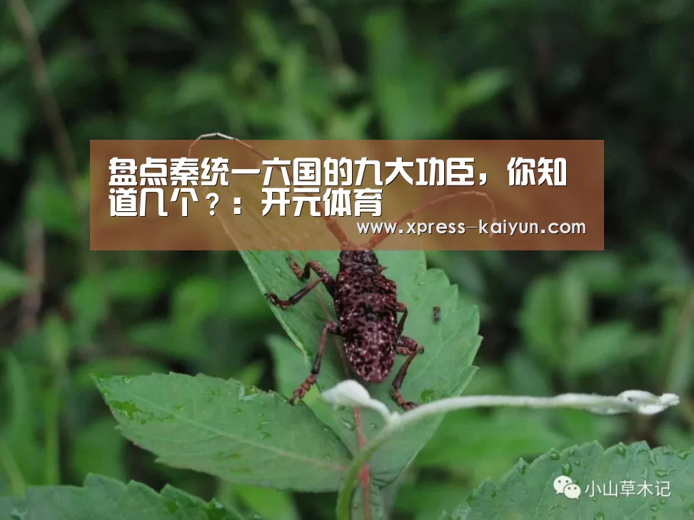 盘点秦统一六国的九大功臣,你知道几个?:开元体育(图2) 开元体育